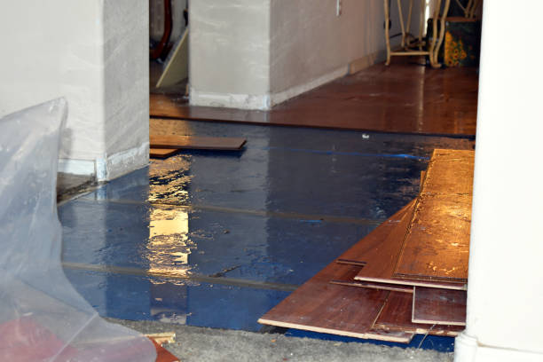Professional Water Damage Restoration technician working in Thermal, CA